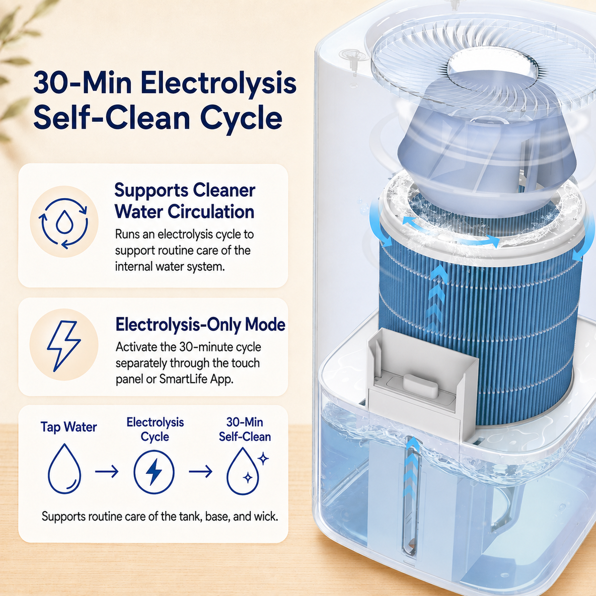 Exploded CD600 cutaway illustrating the 30-minute electrolysis cycle and internal water circulation.