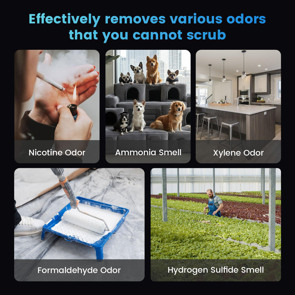 Ozone generator removes various odors like nicotine, ammonia, formaldehyde, and more.