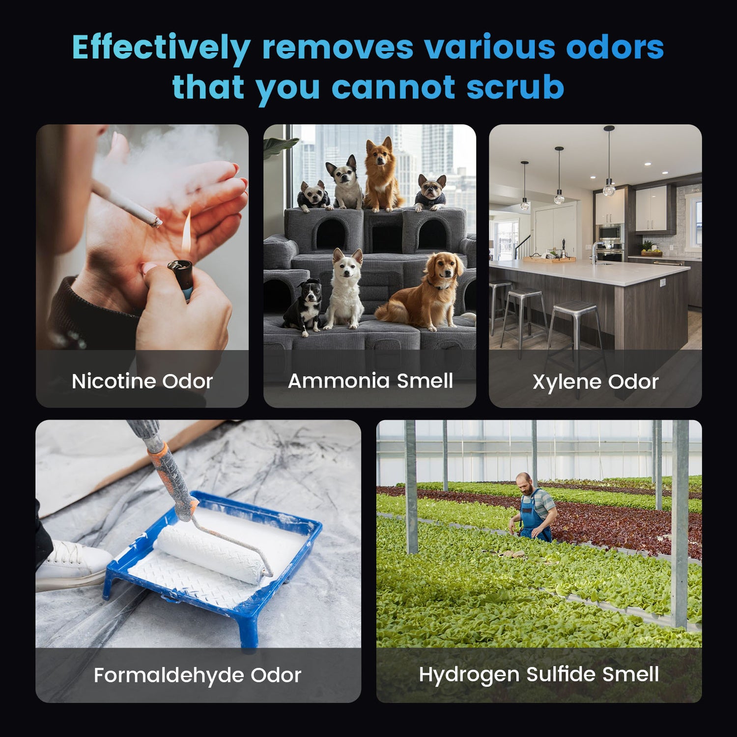 Ozone generator removes various odors like nicotine, ammonia, formaldehyde, and more.