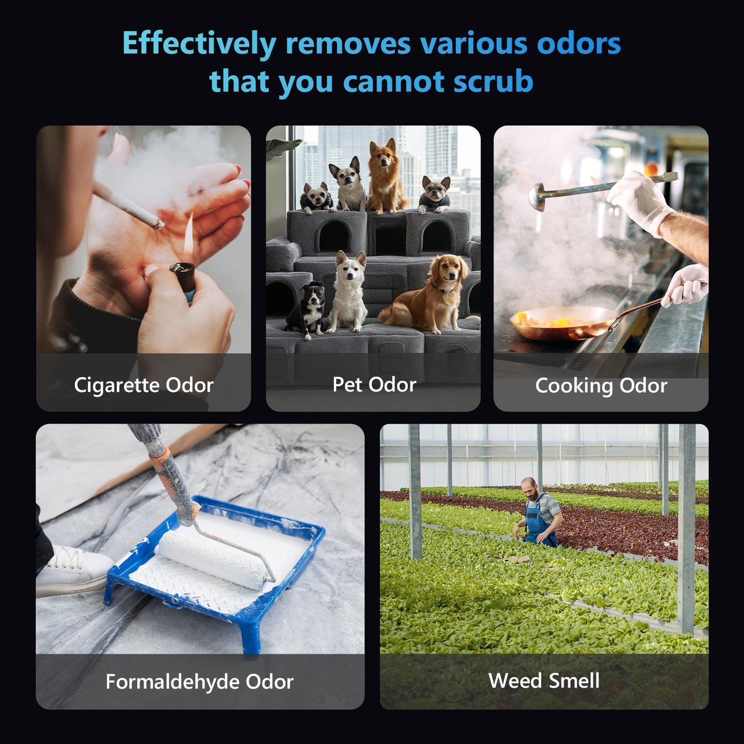Ozone generator removes cigarette, pet, cooking, formaldehyde, and weed odors.