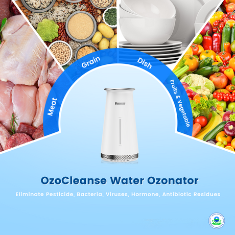 PowerScale OzoCleanse water ozonator, cleaning fruits, vegetables, meat, grain, and dishes.