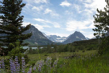 Mountain peaks with patches of snow rise over a lush valley, with a lake and wildflowers in the foreground.