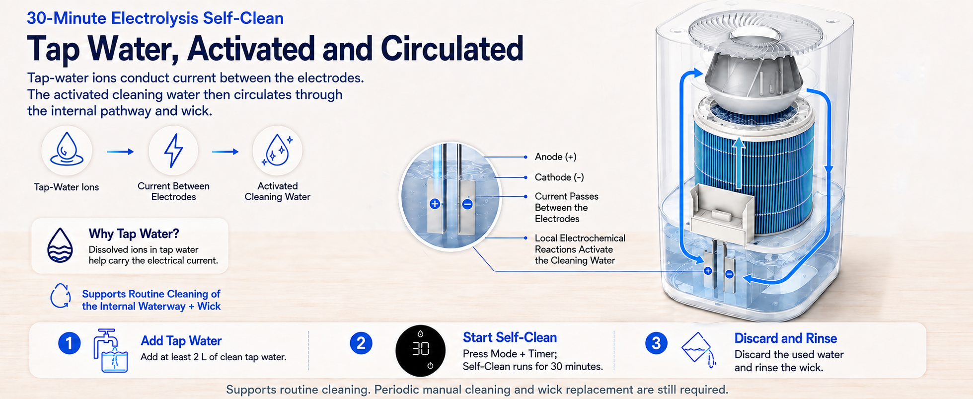 30-minute electrolysis self-clean cycle